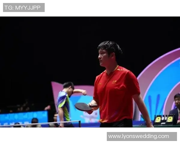 乒乓球巨献：探秘南京乒乓球队的团队协作