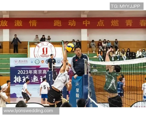 2026排球实力排行榜：南京排球队位居第6名