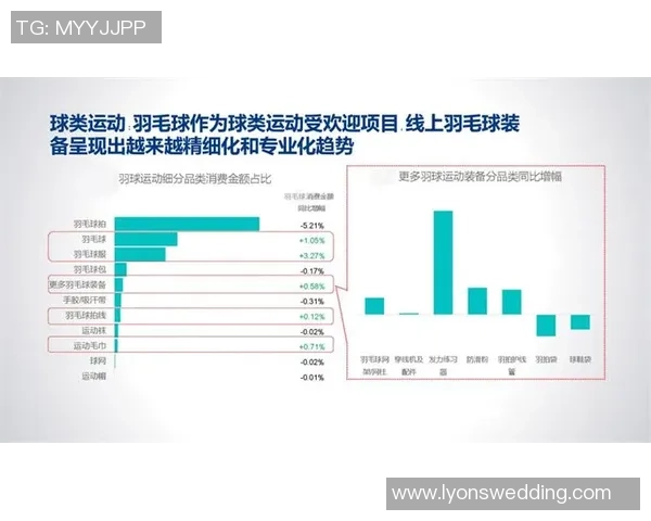 数据分析：北京羽毛球队的个人能力表现