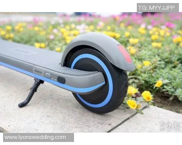 滑板评论:南京滑板队的中路突破得失 滑板评论:南京滑板队的中路突破得失