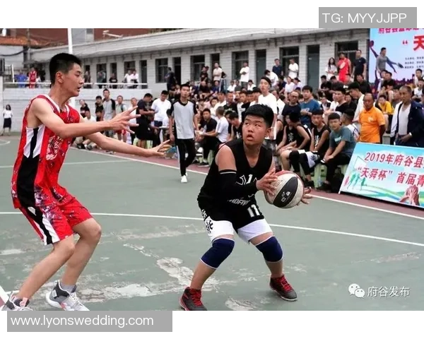 杨敏独家：分享篮球心得