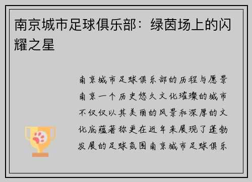 南京城市足球俱乐部：绿茵场上的闪耀之星