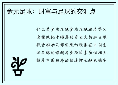 金元足球：财富与足球的交汇点