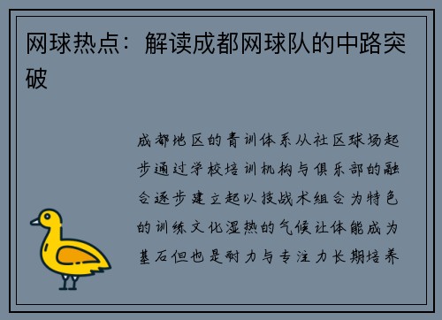 网球热点：解读成都网球队的中路突破